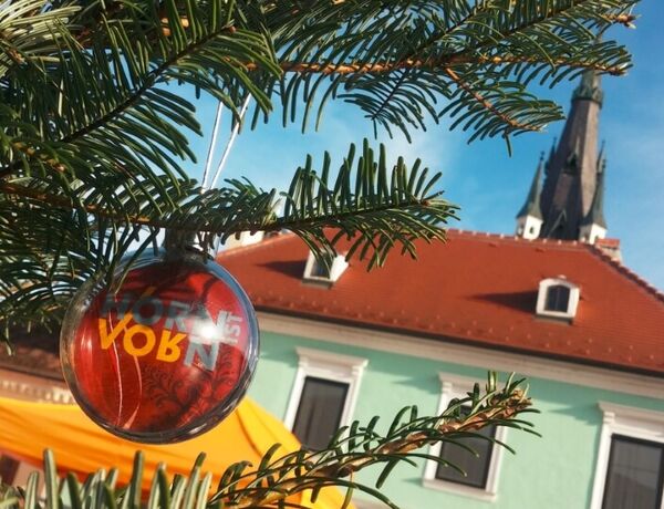 HORN iST VORN schmückt den Horner Christbaum