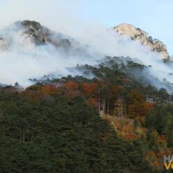 Waldbrand in Hirschwang